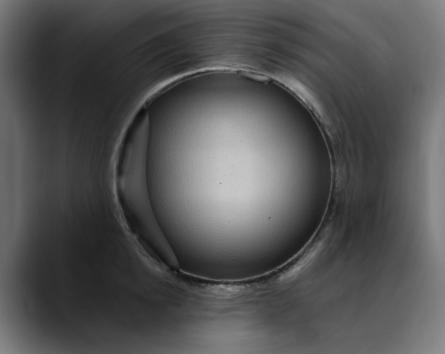 X0000089700854200707121353