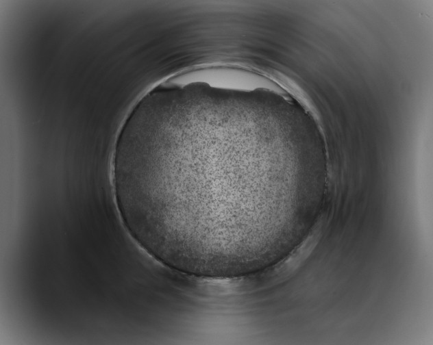 X0000089700855200707121353