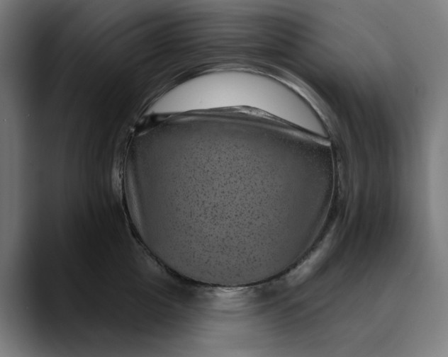 X0000089700857200707121353