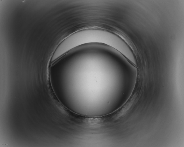 X0000089700858200707121353