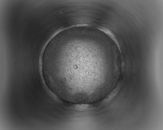 X0000089700859200707121353