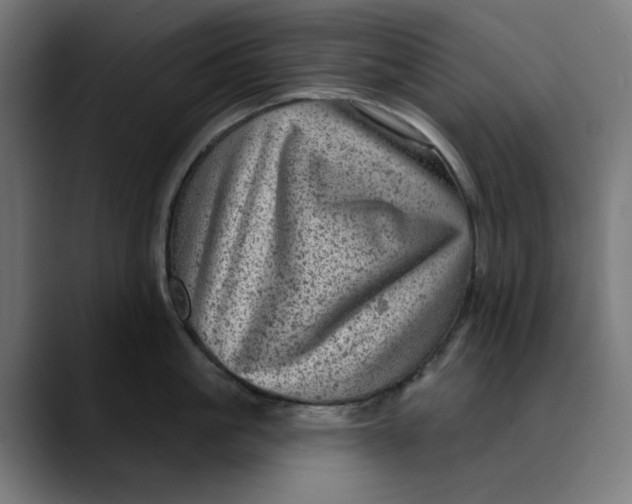 X0000089700861200707121353