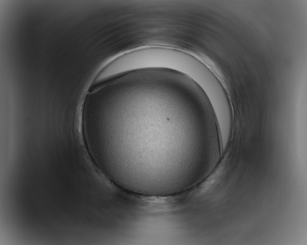 X0000089700862200707121353