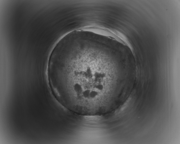 X0000089700863200707121353