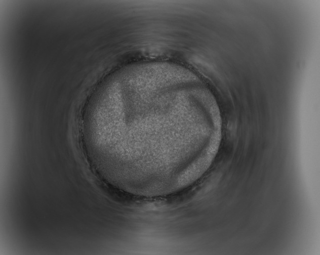 X0000089700865200707121352