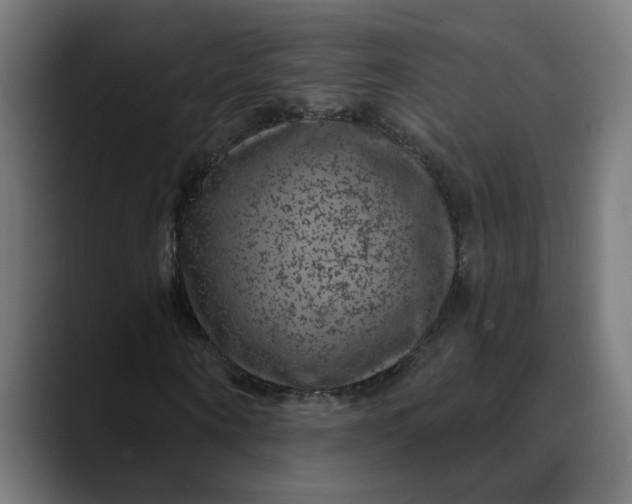 X0000089700866200707121352