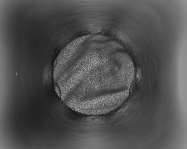 X0000089700867200707121352