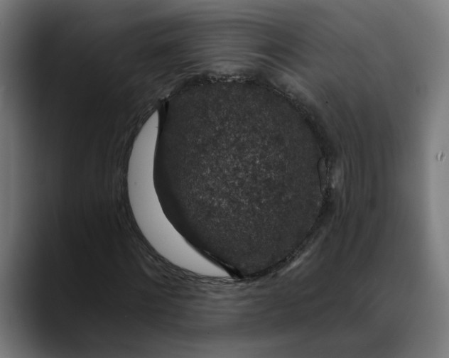 X0000089700868200707121352