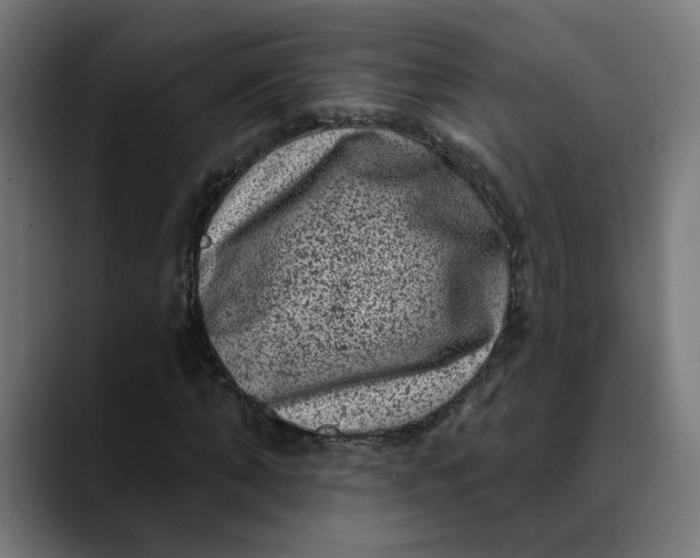 X0000089700870200707121352