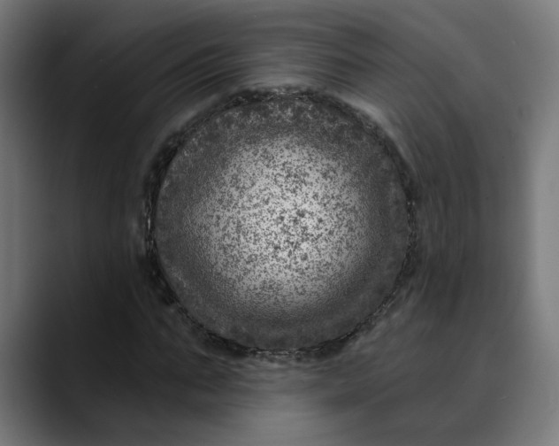 X0000089700871200707121352