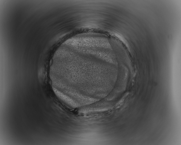 X0000089700872200707121352