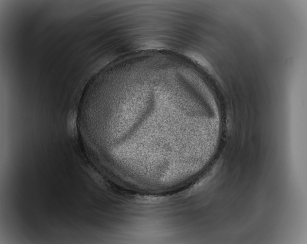 X0000089700873200707121352