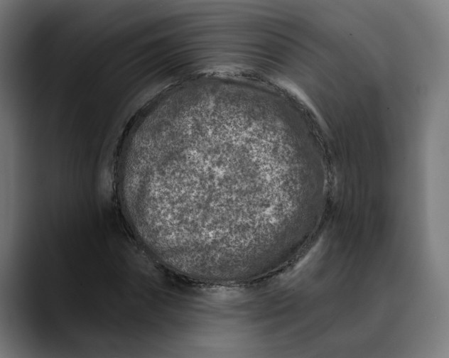 X0000089700874200707121352