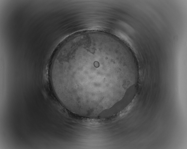 X0000089700875200707121352