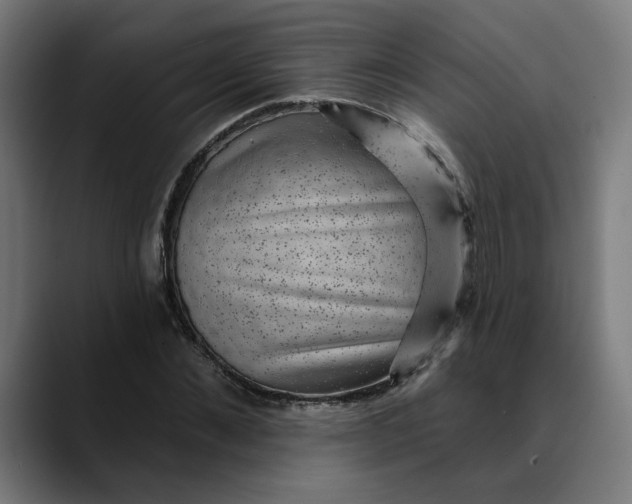 X0000089700876200707121352