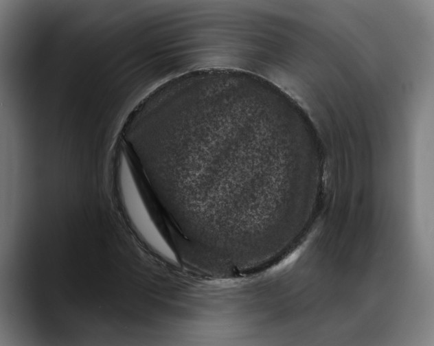 X0000089700877200707121352