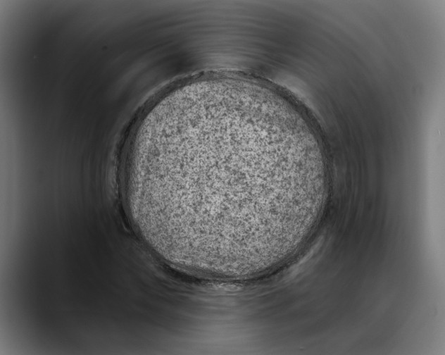 X0000089700878200707121352