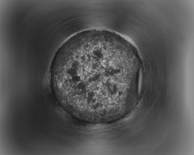 X0000089700879200707121352