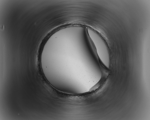 X0000089700880200707121352