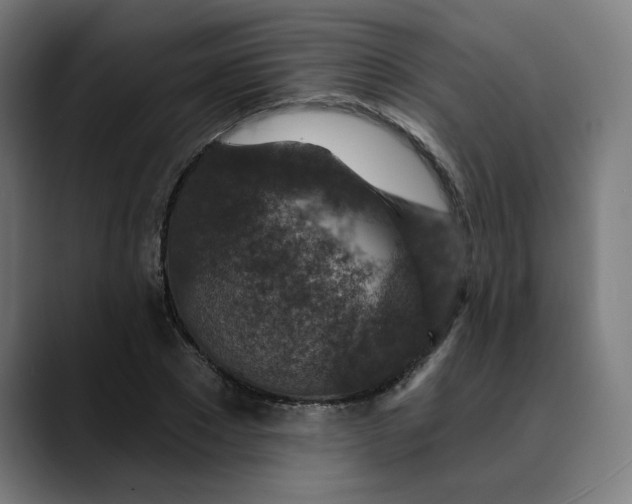 X0000089700881200707121352