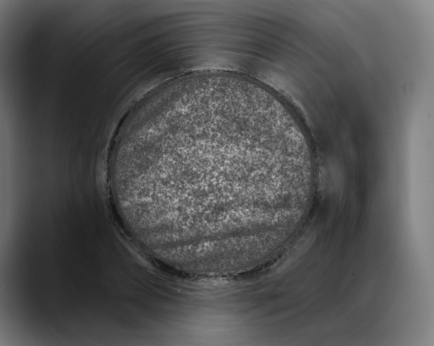 X0000089700882200707121352