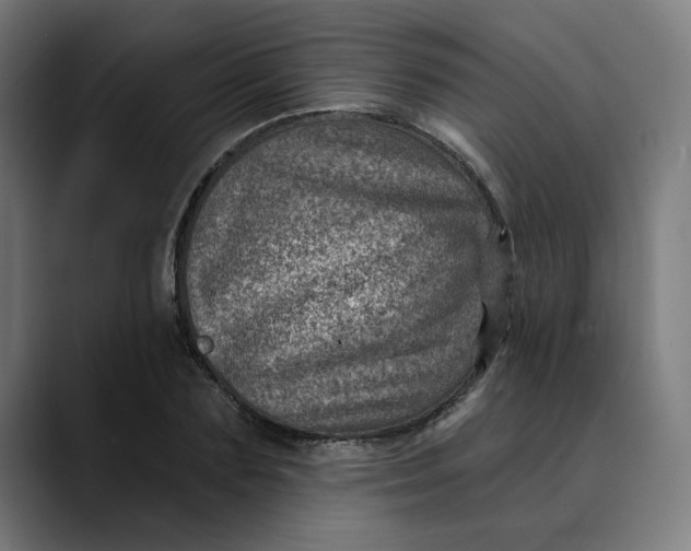 X0000089700883200707121352