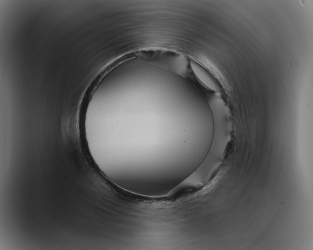 X0000089700884200707121352