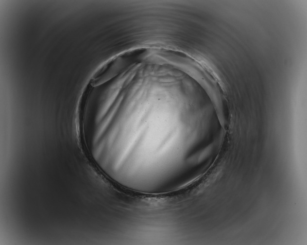 X0000089700888200707121352