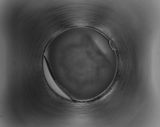 X0000089700889200707121352