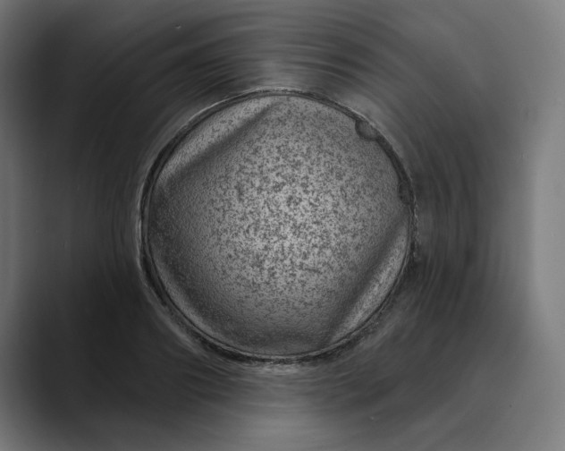 X0000089700890200707121352