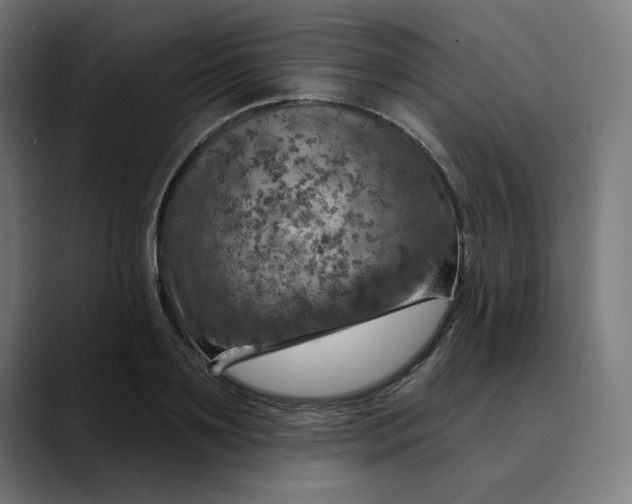 X0000089700891200707121352