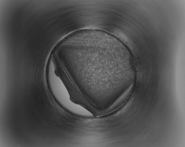 X0000089700892200707121352