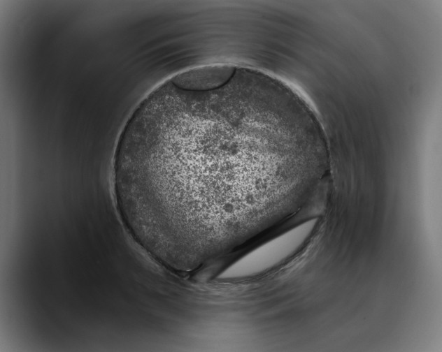 X0000089700895200707121352