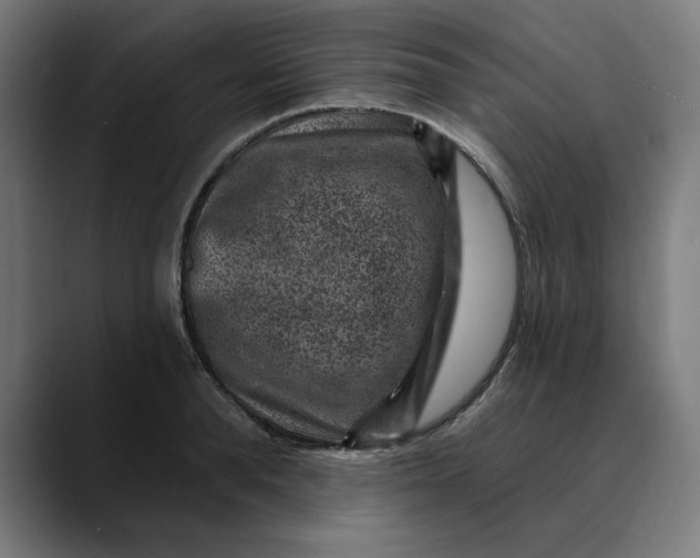 X0000089700896200707121352