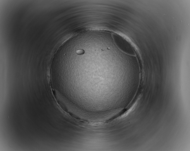 X0000089700897200707121352