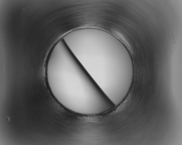 X0000089700900200707121352