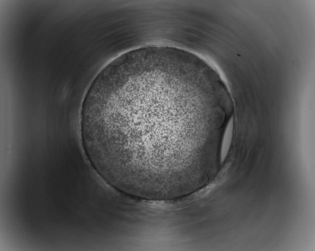 X0000089700903200707121352