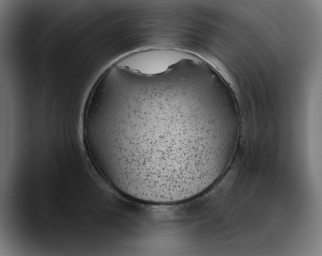 X0000089700904200707121352