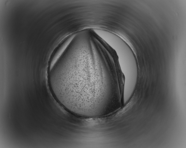 X0000089700906200707121352