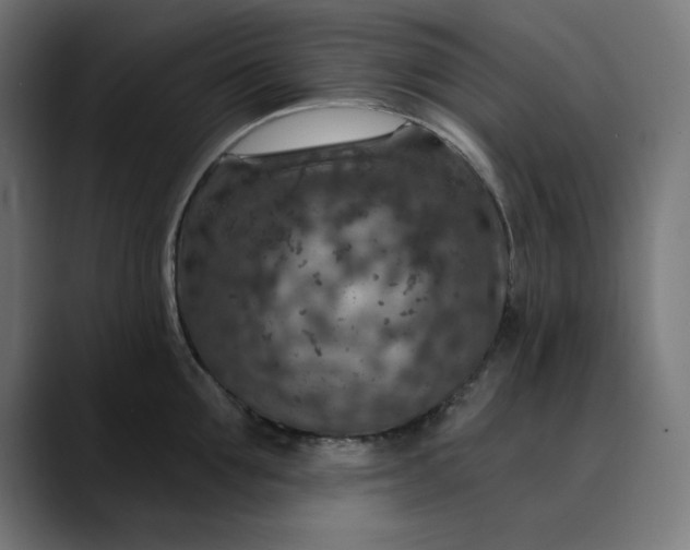 X0000089700907200707121352