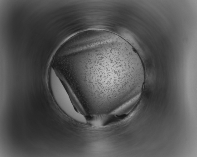 X0000089700908200707121352