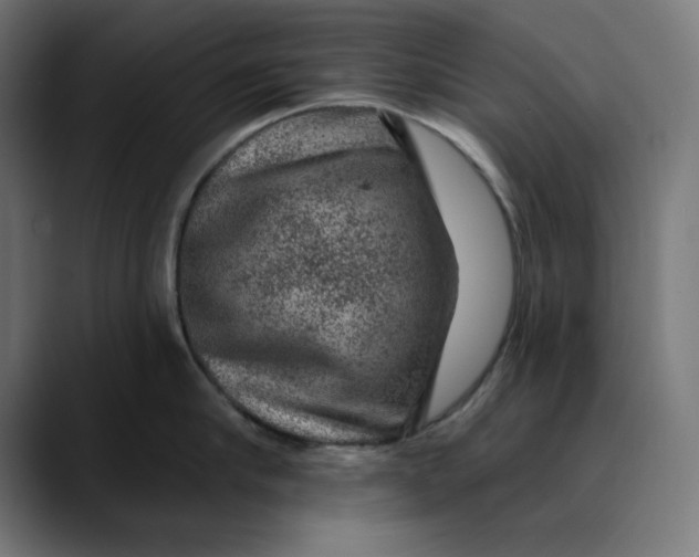 X0000089700910200707121352