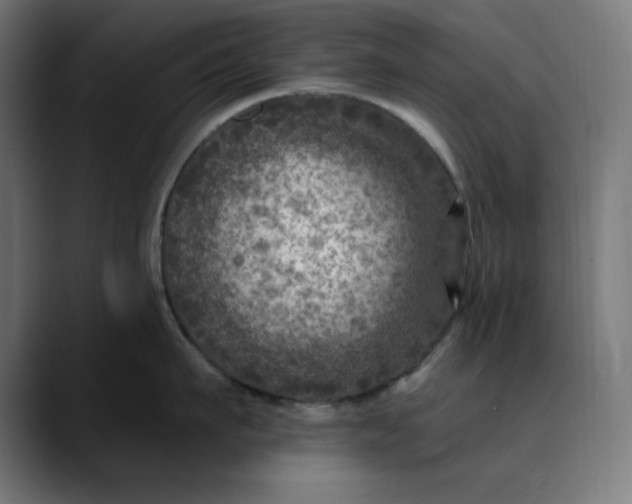 X0000089700911200707121352