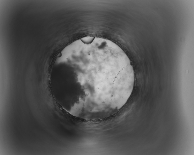 X0000089700913200707121351