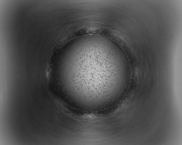 X0000089700914200707121351