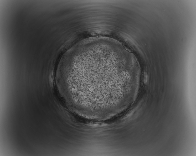 X0000089700915200707121351