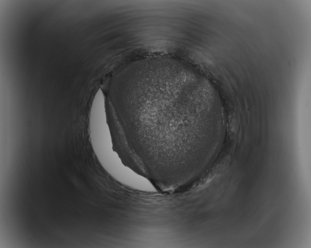 X0000089700916200707121351