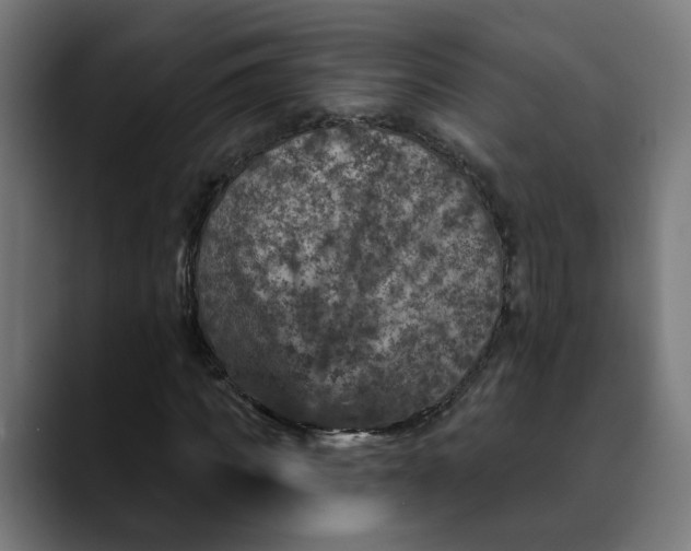 X0000089700917200707121351