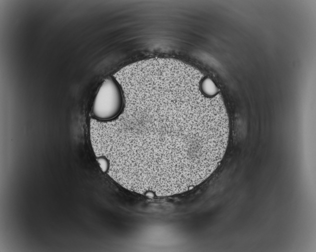 X0000089700918200707121351