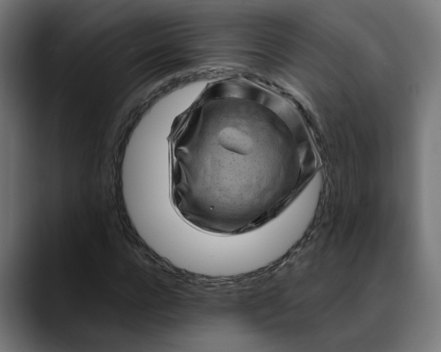 X0000089700920200707121351